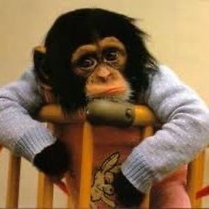 Meet your Posher, Rob